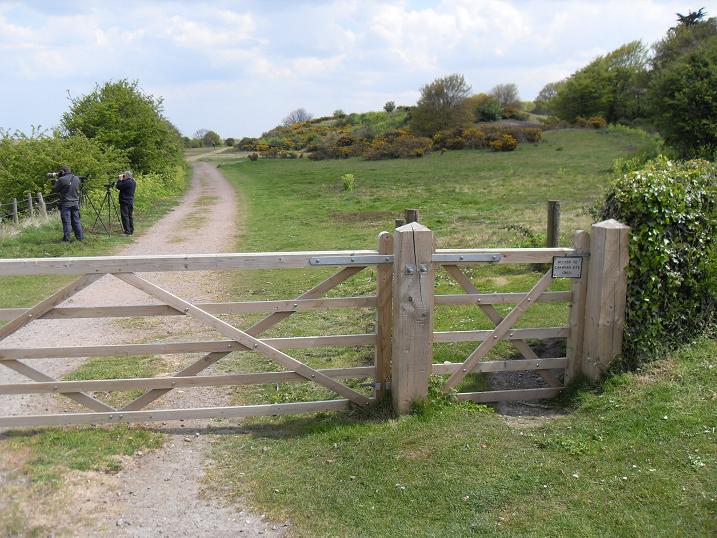 Friary hills