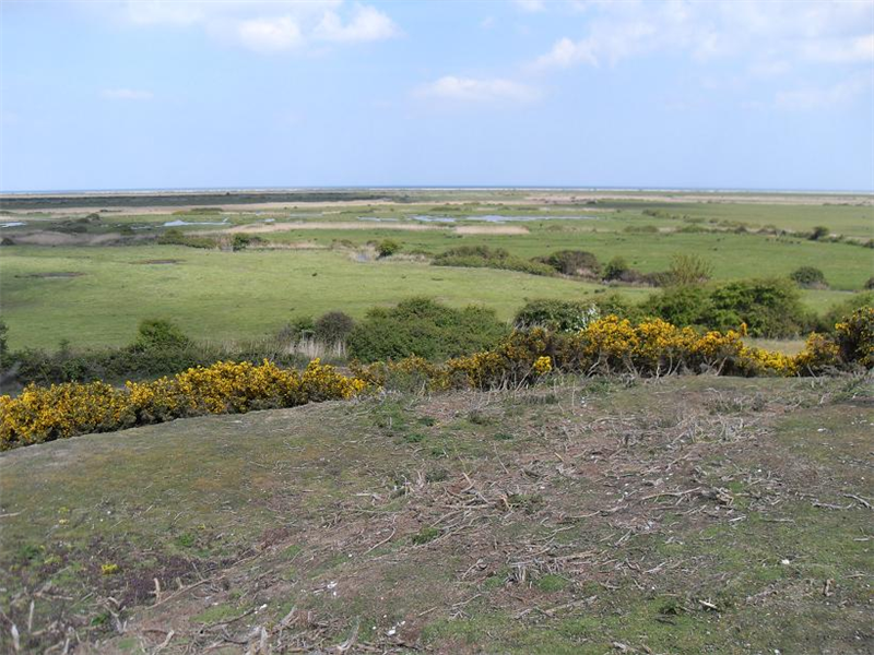 Blakeney freshs marsh viewed from Friary hills