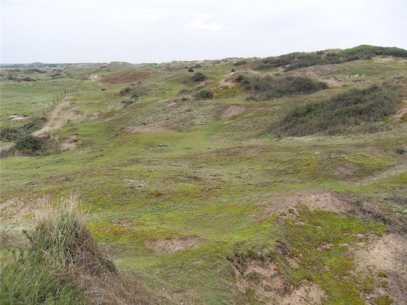 Burnham Overy dunes