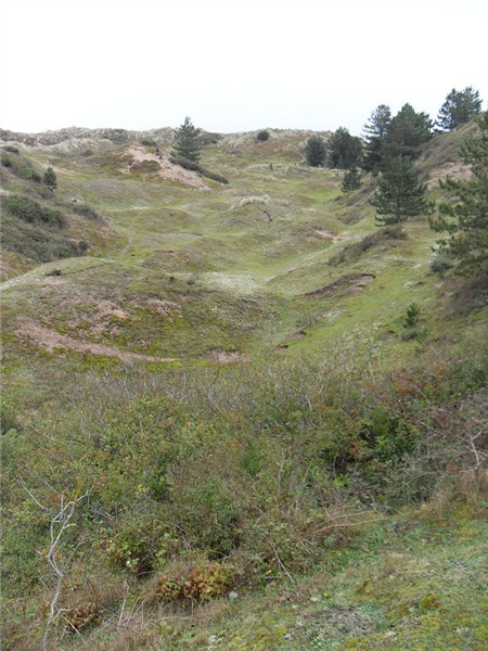 Burnham Overy dunes