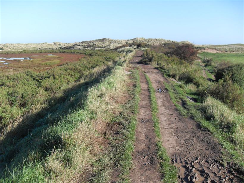 Burnham Overy dunes