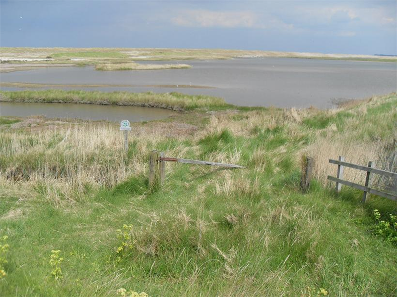Cley - Arnolds marsh