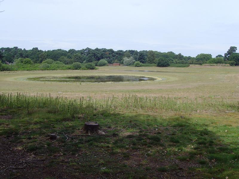 Langmere on East Wretham heath