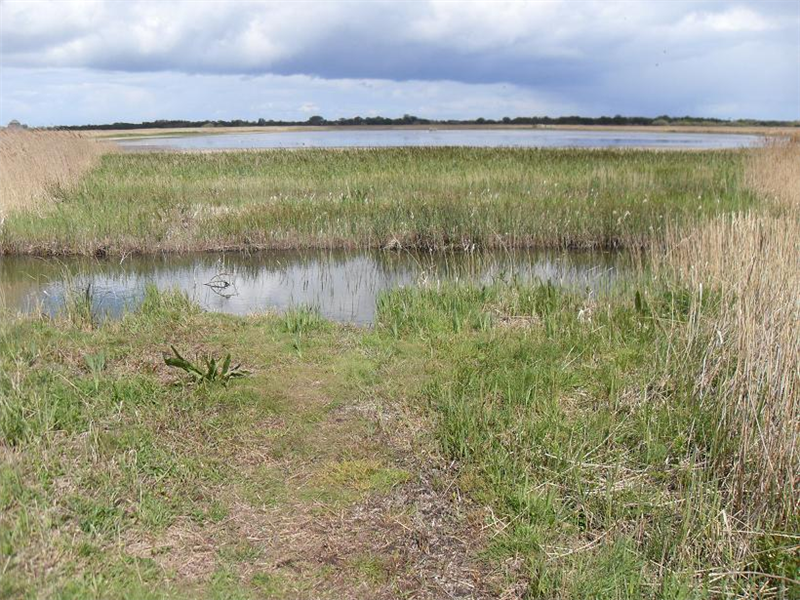 Hickling rush hill scrape