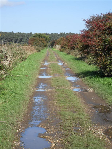 Holkham bones drift