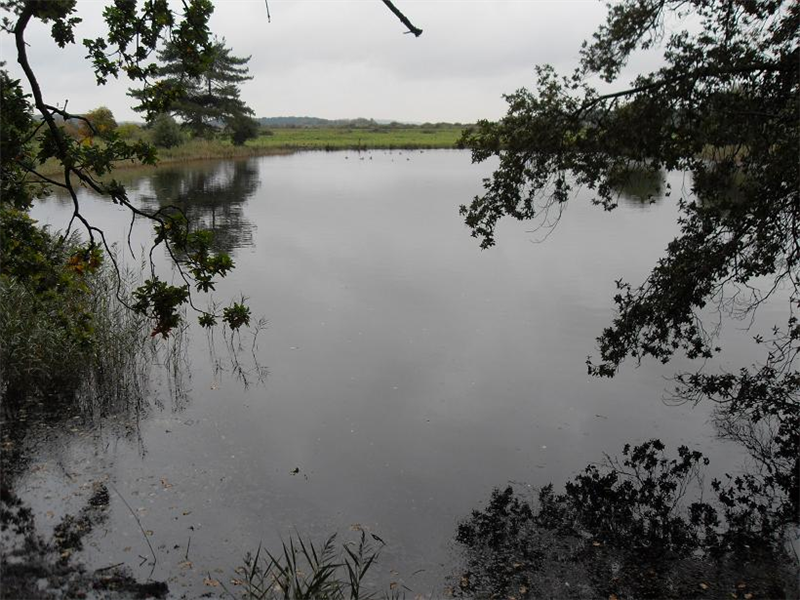 Holkham Abrahams bosom