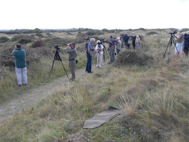 Holme NWT dunes