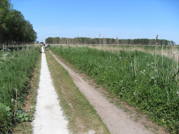 Lakenheath Fen - trial wood