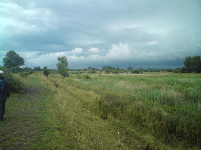 Lakenheath Fen