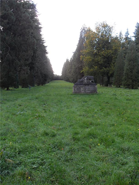 Lynford arboretum sequoia avenue