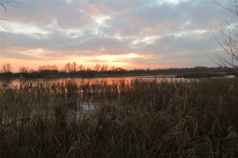 Rockland Broad at sunset