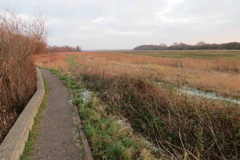 Rockland Broad footpath