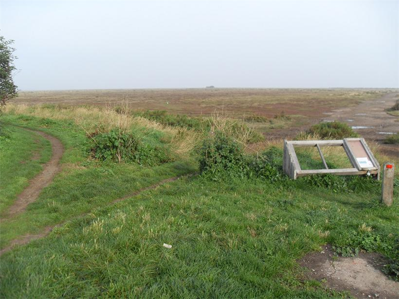 Stiffkey marshes