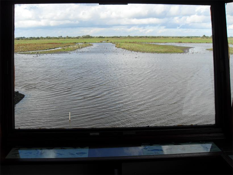 Welney main lagoon