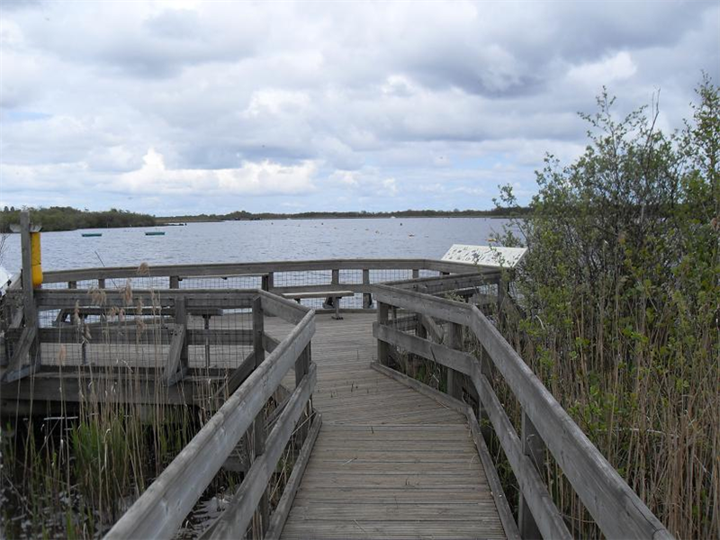 Barton Broad