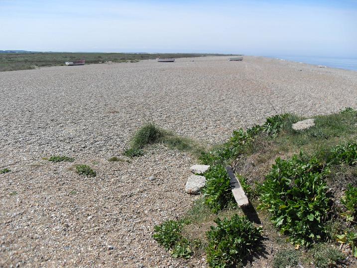 Blakeney point