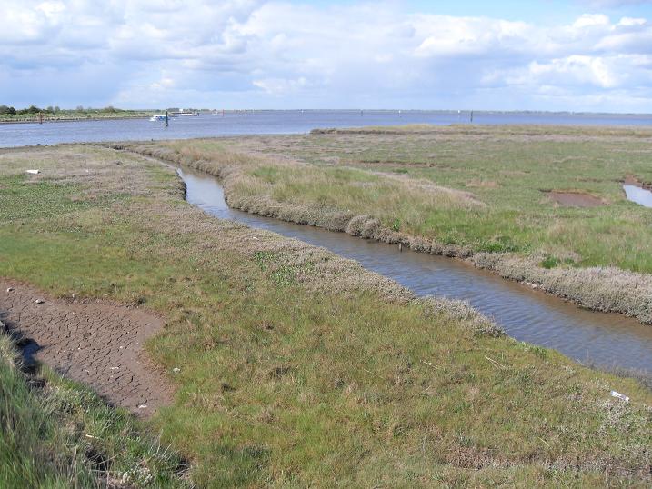 Breydon water