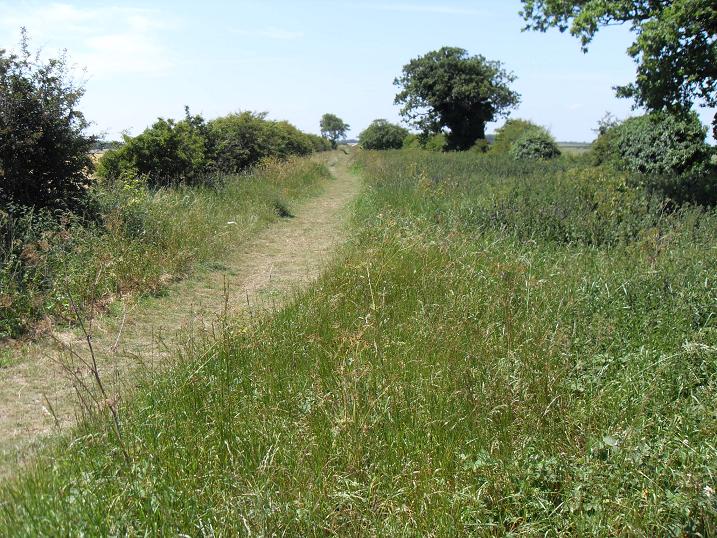 Coastal footpath through Choseley