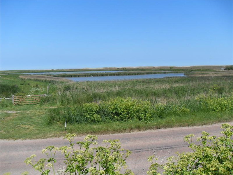 Cley - Richardson's Scrape & Pat's Pool