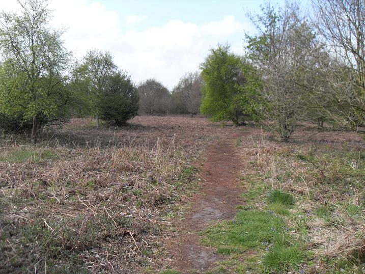 salthouse heath