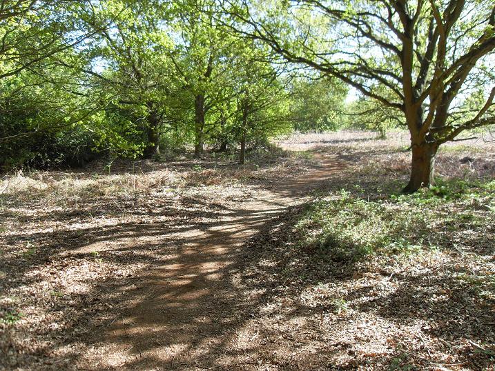 salthouse heath