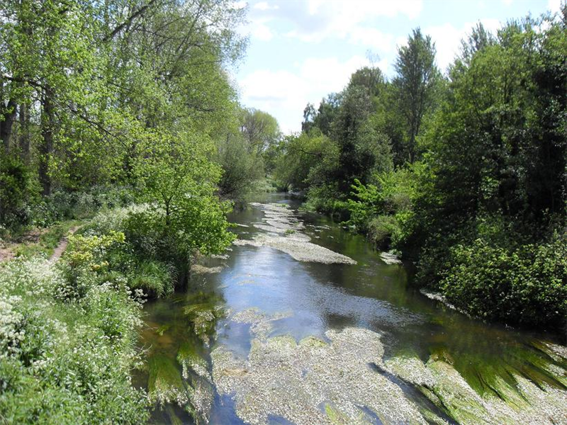 santon downham river Little Ouse