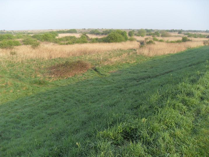 Snettisham Coastal park