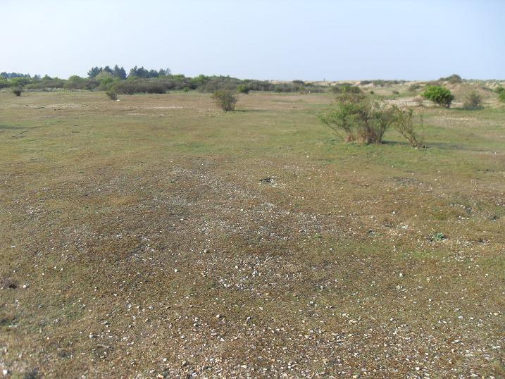 Snettisham Coastal park