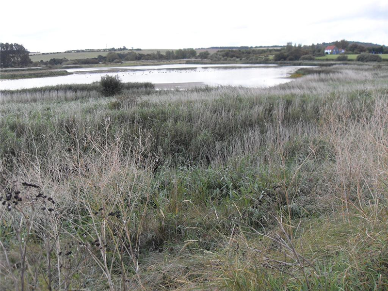 Stiffkey fen