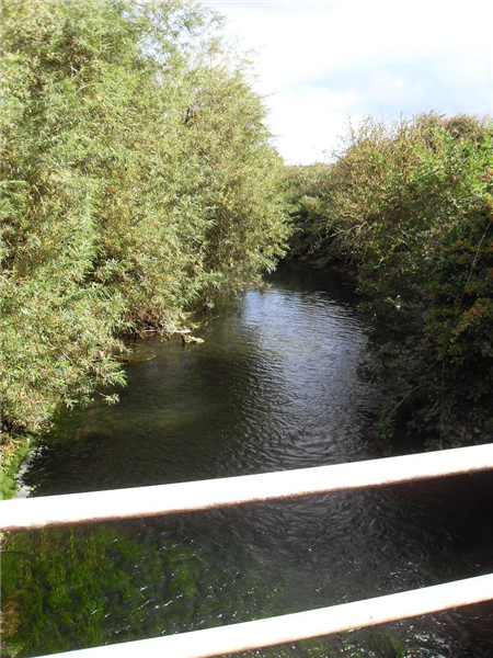 Stiffkey fen