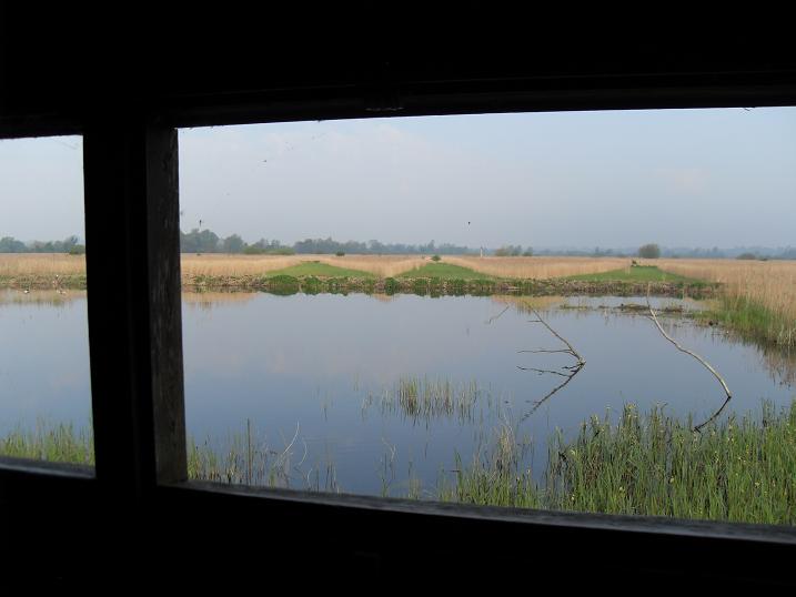 Strumpshaw - view from Fen hide