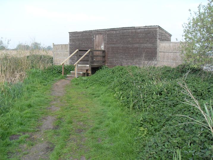 Strumpshaw fen hide