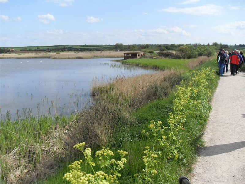 Titchwell marsh