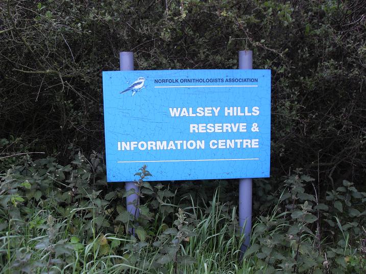 Walsey hills