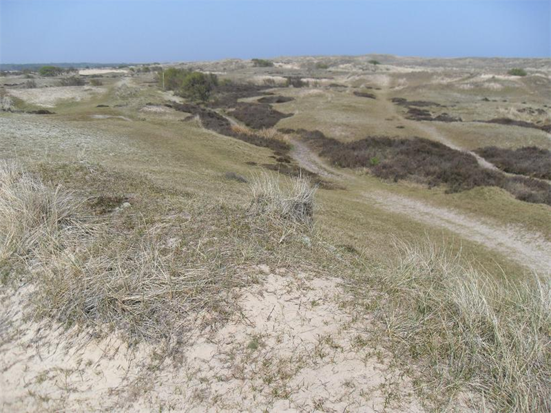 Winterton north dunes