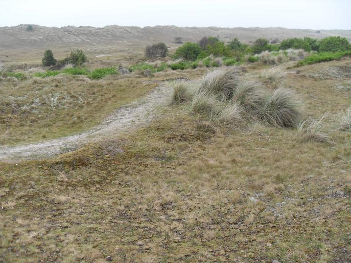Winterton south dunes