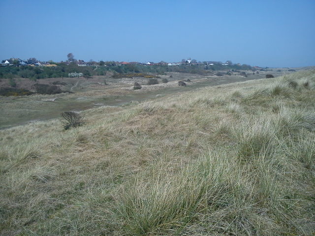 Winterton south dunes