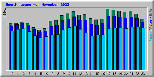 Hourly usage for November 2022